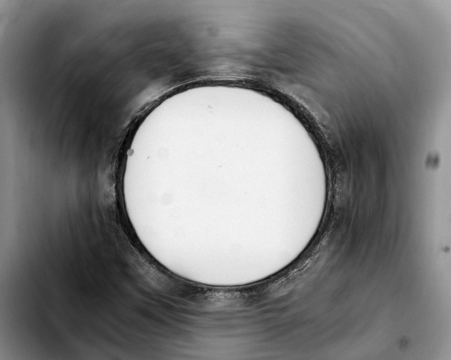 X0000103941451200810101405