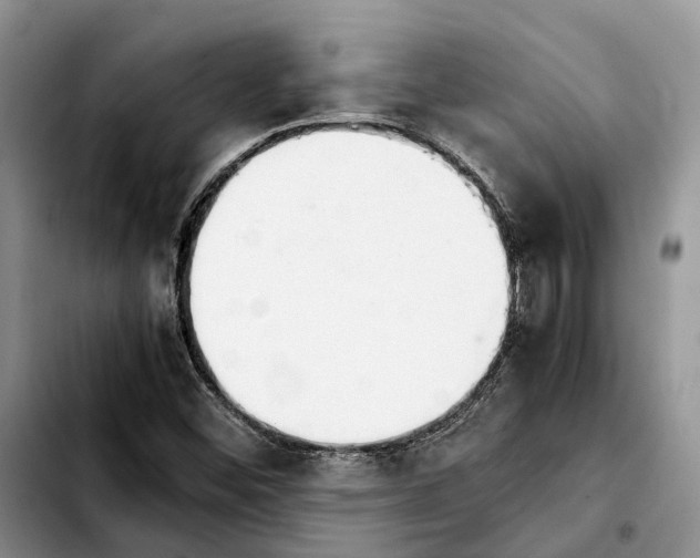 X0000103941452200810101405