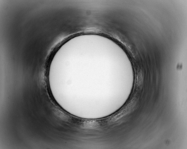 X0000103941454200810101405