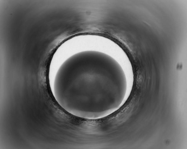 X0000103941455200810101405