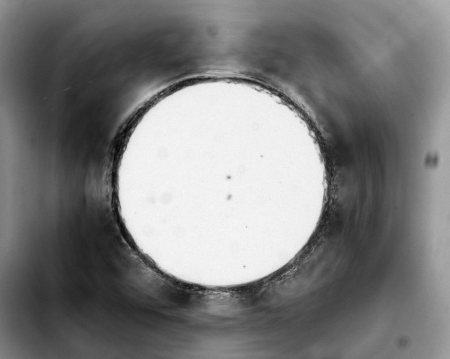 X0000103941456200810101405