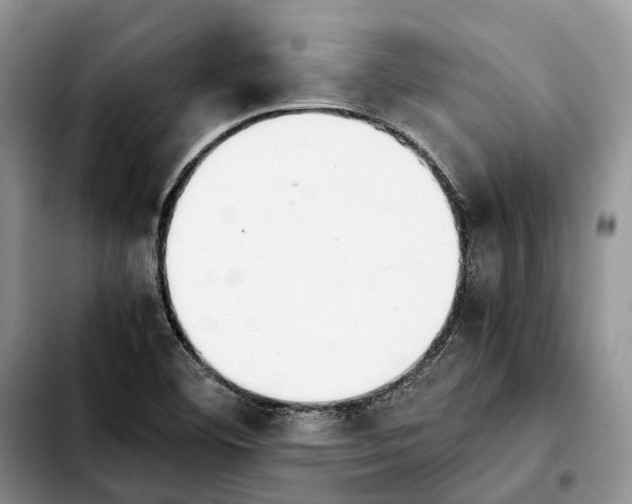 X0000103941460200810101405