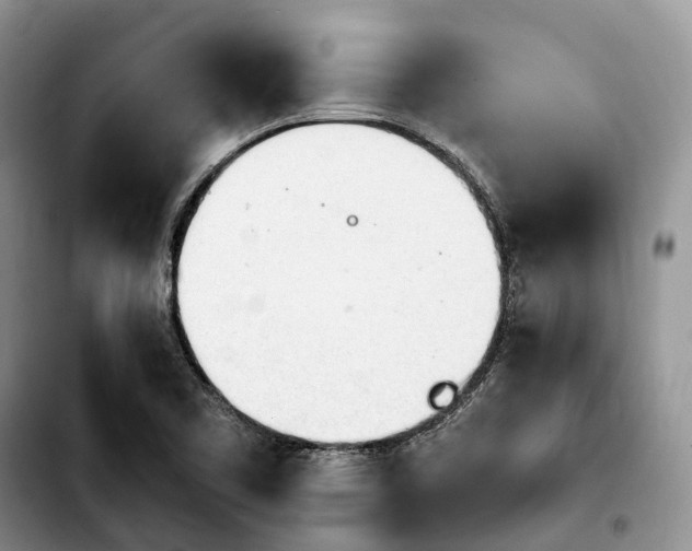 X0000103941461200810101405