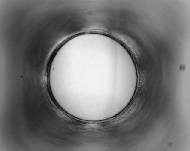 X0000103941462200810101405