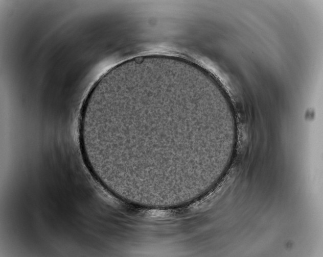 X0000103941463200810101405