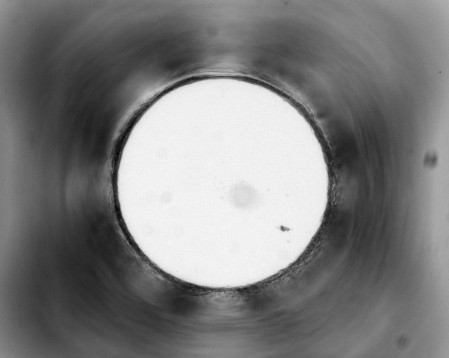 X0000103941464200810101405