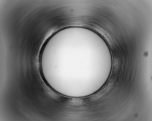 X0000103941466200810101405