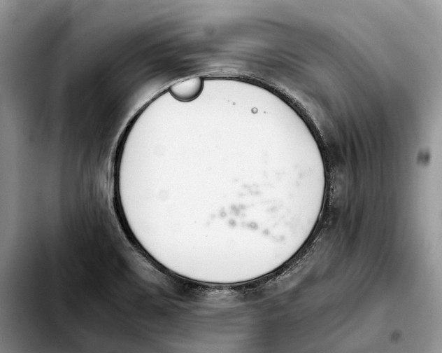 X0000103941467200810101405