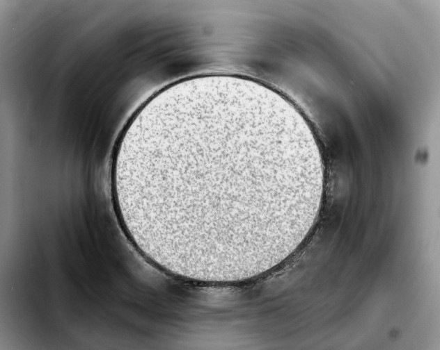 X0000103941468200810101405