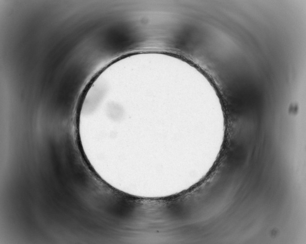 X0000103941469200810101405