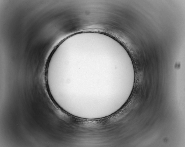 X0000103941470200810101405