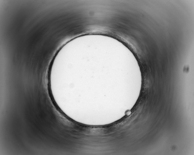 X0000103941471200810101405