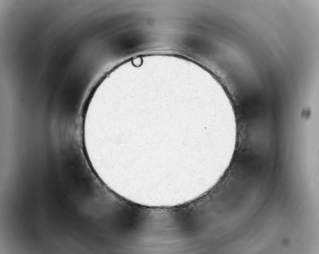 X0000103941472200810101405