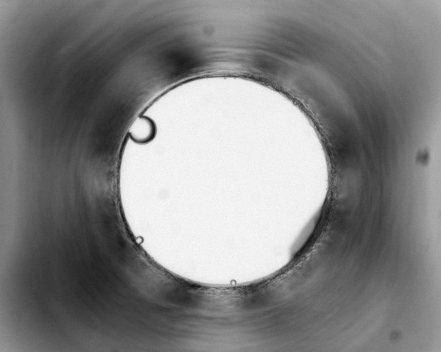 X0000103941473200810101405