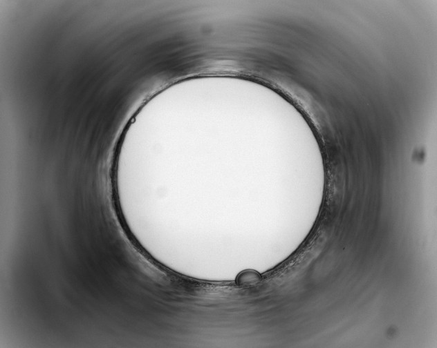 X0000103941475200810101405