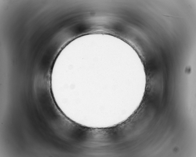 X0000103941476200810101405