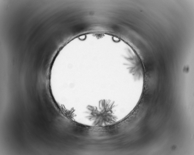 X0000103941477200810101405