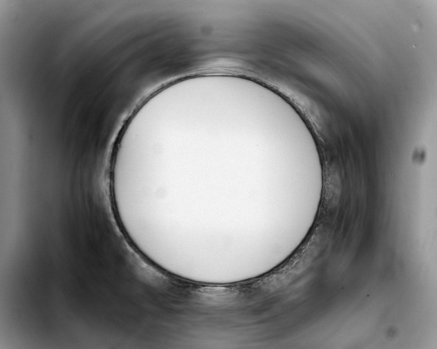 X0000103941478200810101405