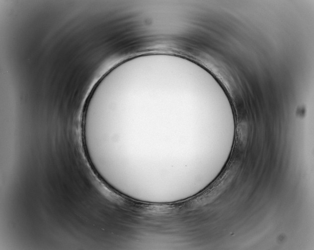 X0000103941482200810101405