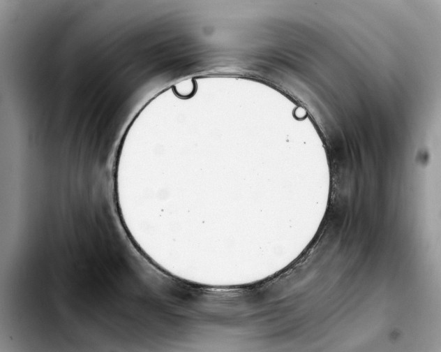 X0000103941483200810101405