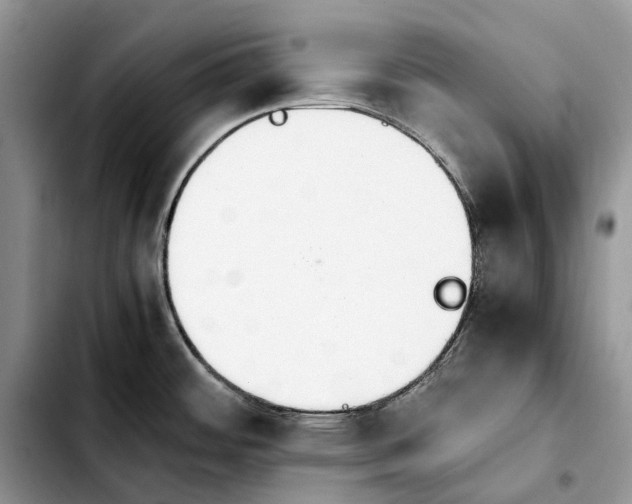 X0000103941484200810101405