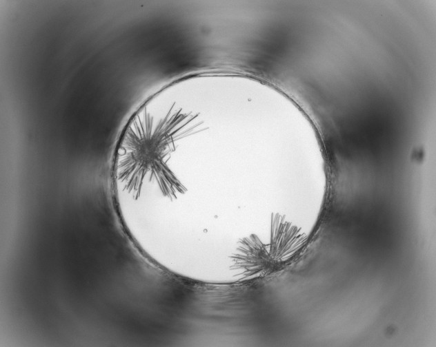 X0000103941485200810101405