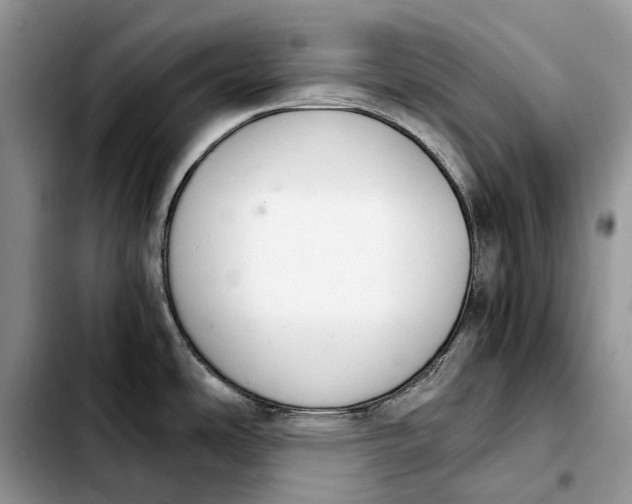 X0000103941486200810101405