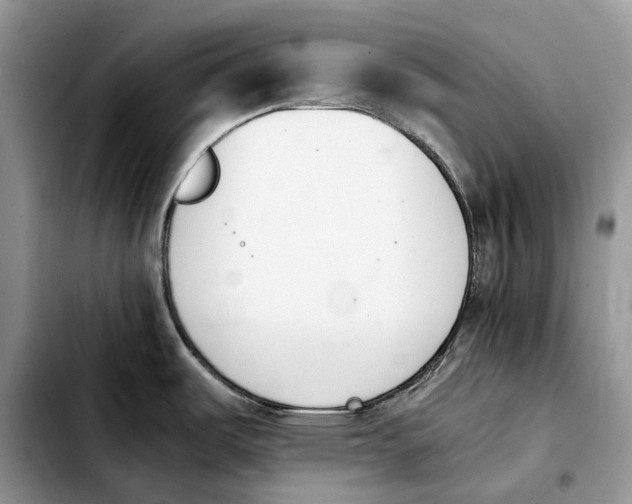 X0000103941487200810101405