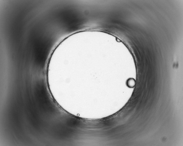 X0000103941488200810101405