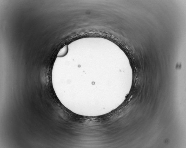 X0000103941490200810101404