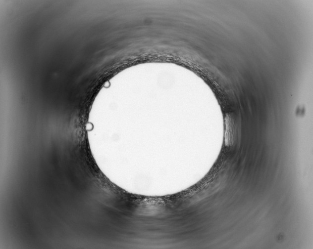 X0000103941491200810101404