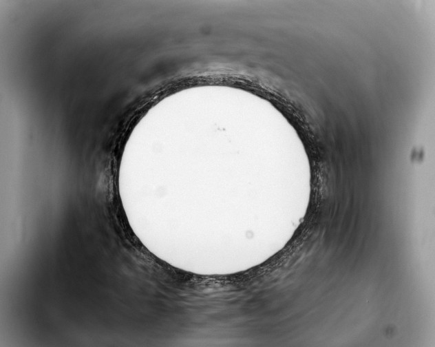 X0000103941493200810101404