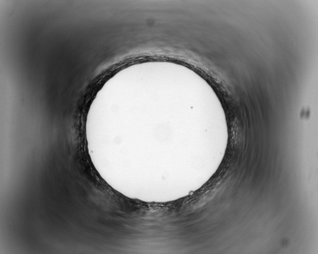 X0000103941494200810101404