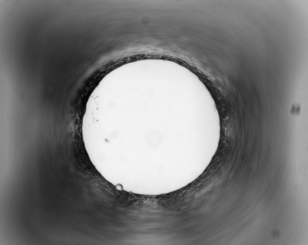 X0000103941495200810101404