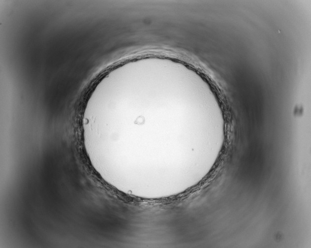 X0000103941496200810101404