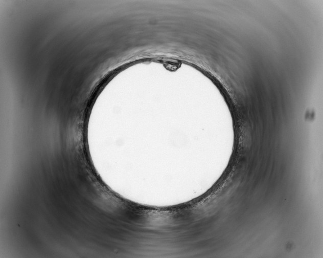 X0000103941499200810101404