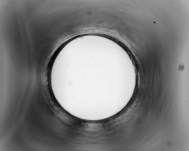 X0000103941501200810101404