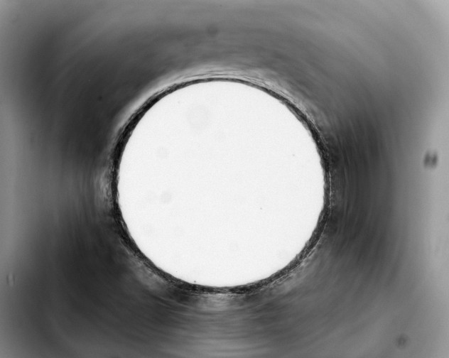 X0000103941502200810101404