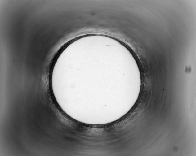 X0000103941503200810101404