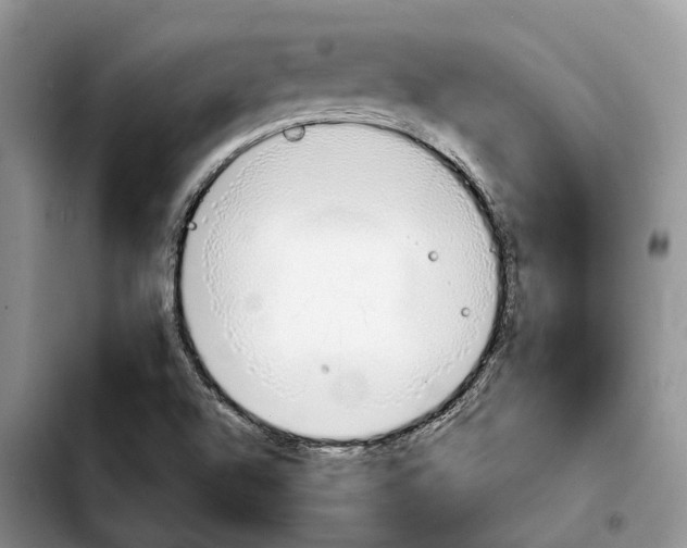 X0000103941504200810101404