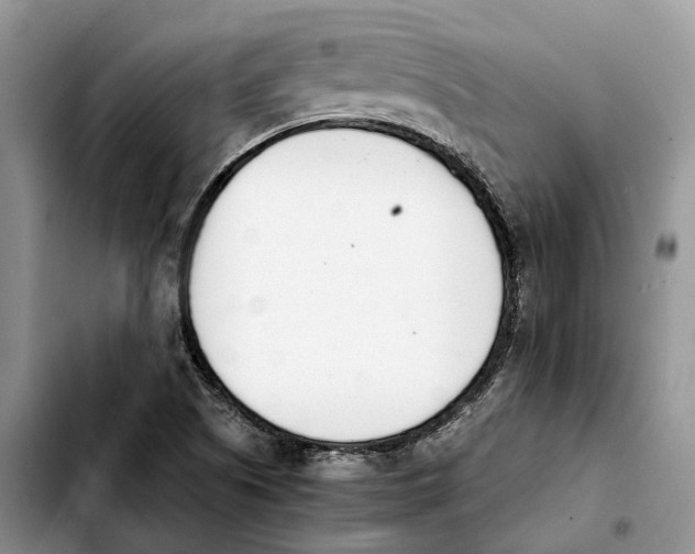 X0000103941505200810101404