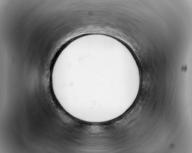 X0000103941507200810101404