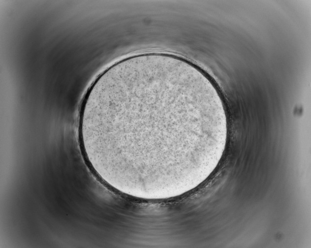 X0000103941508200810101404