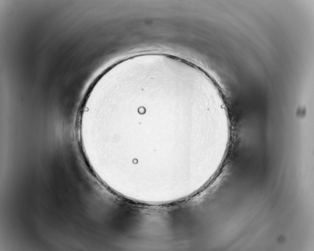 X0000103941510200810101404