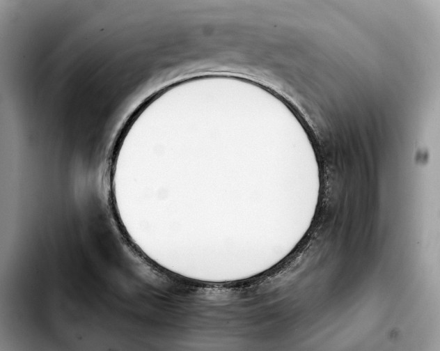 X0000103941511200810101404