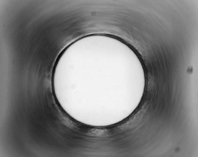 X0000103941513200810101404