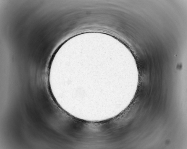 X0000103941514200810101404