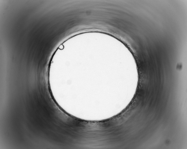 X0000103941516200810101404