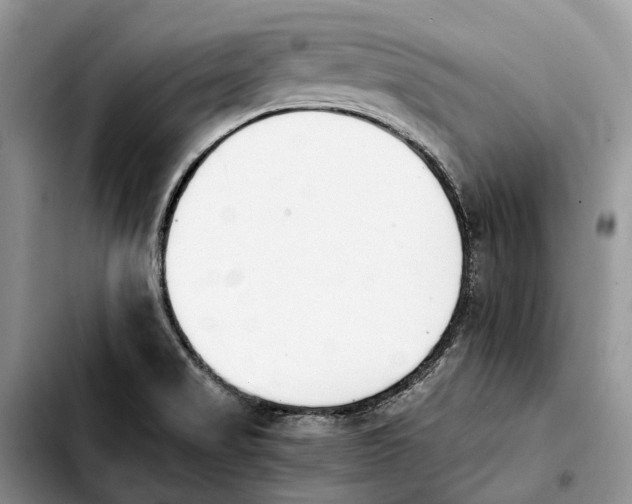 X0000103941517200810101404