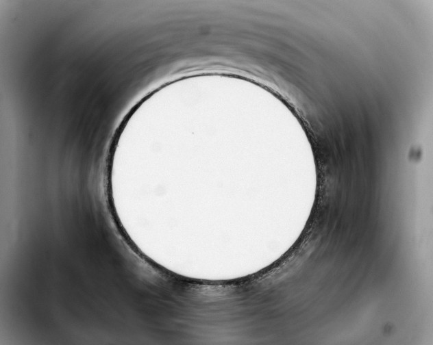 X0000103941518200810101404